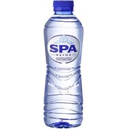 Spa Blauw 24x500ML