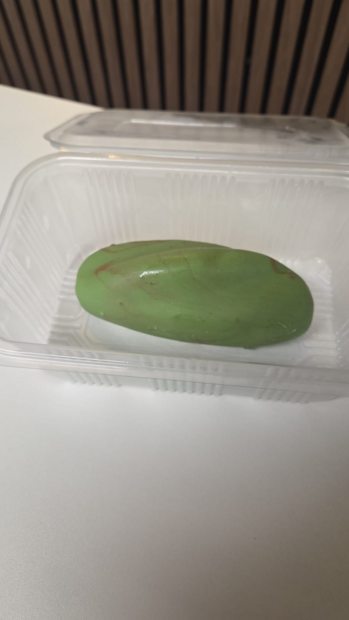 Pistache fruitdessert